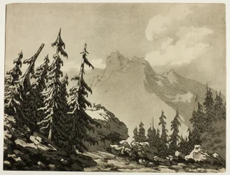 山の松