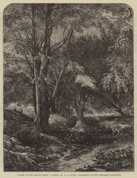 ダマジカの出没