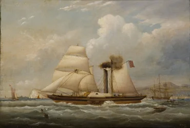 パドルタグのヘンリーライト