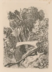 研究は無料です。Plate11 Parsons Bridge Cardingshire、1838。
