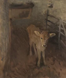 ジャージー種の子牛、1893年