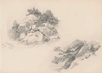 Rocks and Brush、ヒンターゼー、ドイツ、1871年（woverペーパー上のグラファイト）