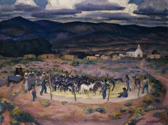 Debulha de Burros