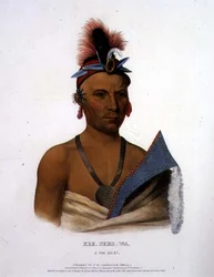 Kee-Shez-Wa, A Fox Chief, pub by F.O.W. Greenough