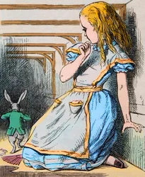 アリスと白ウサギ。ルイス・キャロル『不思議の国のアリス』初版（1865年）より、ジョン・テニエルによる挿絵 - ルイス・キャロル（チャールズ・ラトウィッジ・ドジソン）の物語『不思議の国のアリス』の挿絵