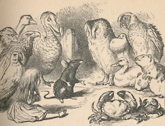 「党員集会式競走と長いお話」の章の挿絵。アリスと、さまざまな生き物、例えば
