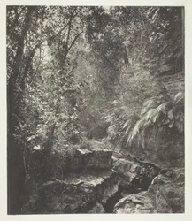 フォルモサの峠