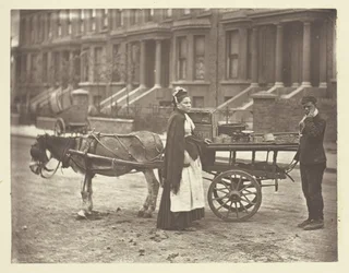 イチゴです。All Ripe!オール・ライプ！, 1881.