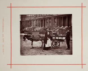 苺。 完熟！ 完熟!、1877年。