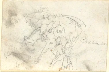 馬