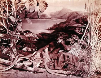 オーストラリア、1874年頃（写真）