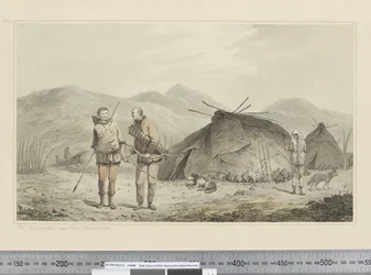 F.31 「ツクツクボウシとその居住地」 1773-84年頃 （水彩画