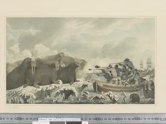 F.32 《海の馬》 1773-84年頃 （水彩画