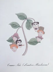 一般的なナッツ。 (Lunatica Marxbrosium)、John Weir 作「The Bogus Book of Botany」の挿絵