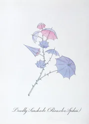 致命的なサンシェード (Parasolia Spikeii.)、John Weir 作の「The Bogus Book of Botany」の挿絵