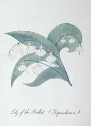 バレエのユリ (Terpsichore.)、John Weir 作「The Bogus Book of Botany」の挿絵