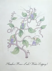配管工の家ネギ (ウォーター ドリッパー)、ジョン ウィアーによる「The Bogus Book of Botany」のイラスト