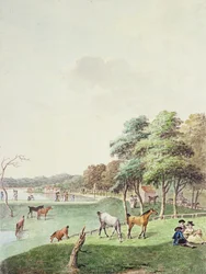 蛇紋岩のイーストエンドと海水浴場の遠景1794