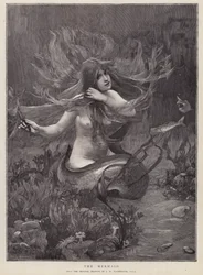 The Mermaid（リトグラフ