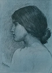頭の研究、c1899