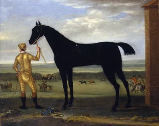 デヴォンシャー公爵の競走馬「バスト」 1708-25年頃 （油彩・キャンバス