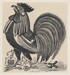 雄鶏（1880-1910年頃）。