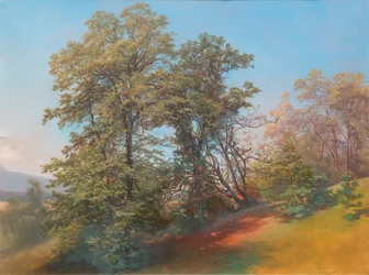 ザルツブルグのメンヒスベルクの並木群