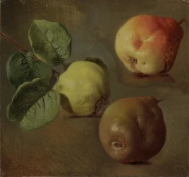 Les coings - Quince - Josef Navratil (1798-1865).油彩・キャンバス