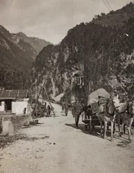 アルバム "Meine weltkriegs - Erinnerungen South-West Front (Carinthia, Italien, South Tyrol) (私の世界大戦-南西戦線の思い出（カリンシア、イタリア、トレンティーノ・アルト・アディジェ）1915/03/1931-12/11/1918 - Josef Zohles Wien ": 軍用ワゴン（モノクロ写真