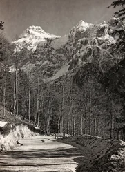 アルバム "Meine weltkriegs - Erinnerungen South-West Front (Carinthia, Italien, South Tyrol) (私の世界大戦-南西戦線の思い出（カリンシア、イタリア、トレンティーノ・アルト・アディジェ）1915/03/1931-12/11/1918 - Josef Zohles Wien ": 山道（モノクロ写真）。