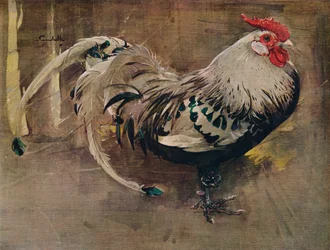 斑模様の雄鶏、1903年、1935年