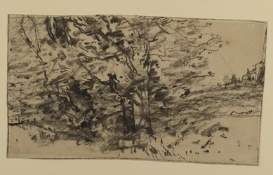 木の研究、1870年（紙に黒鉛）