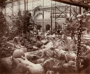ロンドンのクリスタル・パレス：熱帯部門、1870年頃