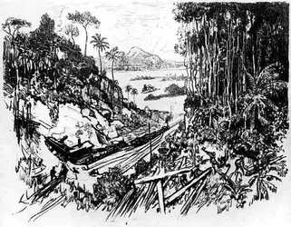 ジャングル：古い鉄道、ジョセフ・ペネルによるパナマ運河のプレートVIII、1912年（紙に炭）