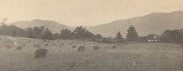 木と山のある風景、1900年頃
