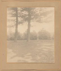 木々のある風景、1900年頃