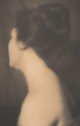 倒立した頭部-肉の色調の研究」1899年