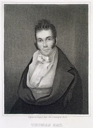 トーマス・セイ（1787-1834）、ヘンリー・ホプナー・マイヤー（1787-1847）によって彫刻
