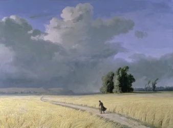 カレー近くのトウモロコシ畑