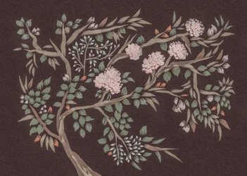 ピンクの花が咲く木