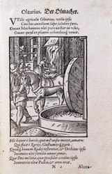 オイルメーカー、ハンス・サックス（1494-1576）の詩による「De Omnibus Illiberalibus Sive Mechanics Artibus」のラテン語版のイラスト。1574年（木版）。