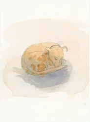 眠る犬、2003年。