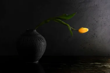 黄色いチューリップの静物画