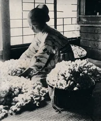 5000カイコが8シルクの絹に125ポンドの桑を食べ、1つの着物を作る、c1900、1921