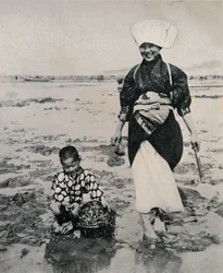 東京湾の干潮時にアサリを掘る、1900年、1921年