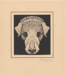 犬の頭
