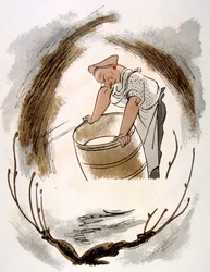 ユーモラスなワインのイラスト 1946.Illustration by Julien Pavil