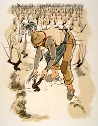 Humoristinen viinikuvitus 1946. Kuvitus Julien Pavil