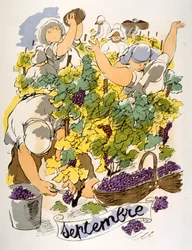ユーモラスなワインのイラスト 1946.Illustration by Julien Pavil