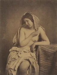 自然の後の研究、c。 1853-1855。